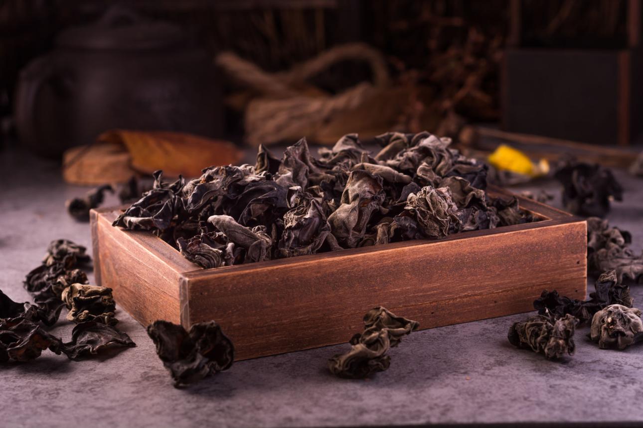 Wild Black Fungus
